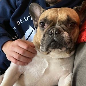 Meet your Posher, Jeanette